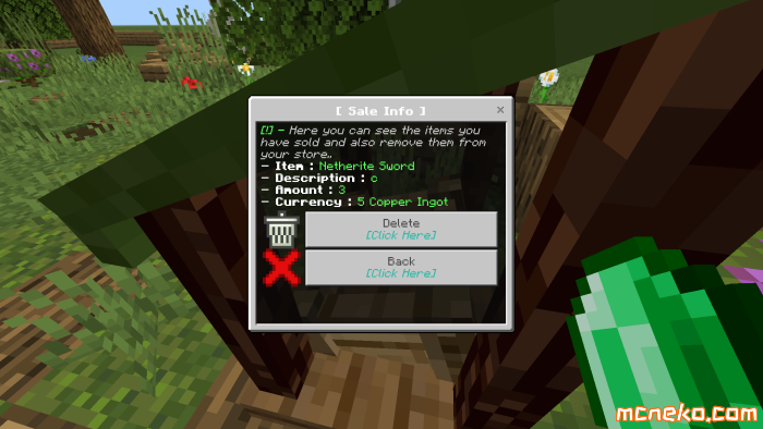 advanced-shop-v1-12080_20.png