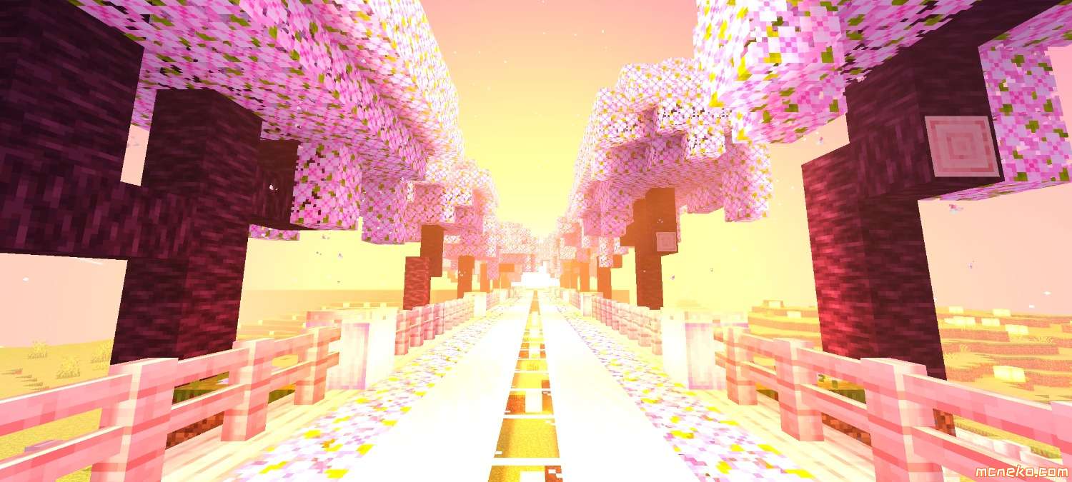 Screenshot_2025-05-26-22-04-13-770_com.mojang.minecraftpe.patxx.jpg