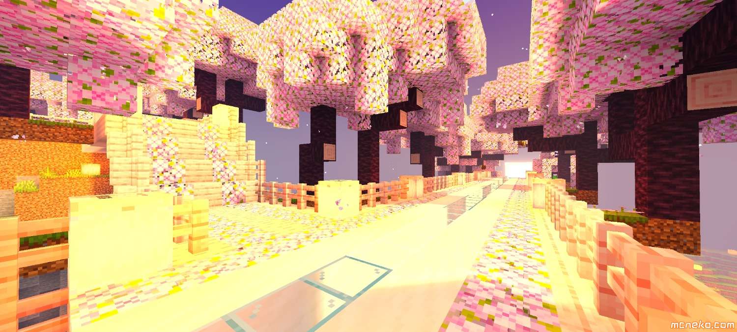 Screenshot_2025-05-26-22-03-56-621_com.mojang.minecraftpe.patxx.jpg